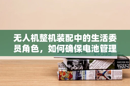 无人机整机装配中的生活委员角色，如何确保电池管理的日常维护？