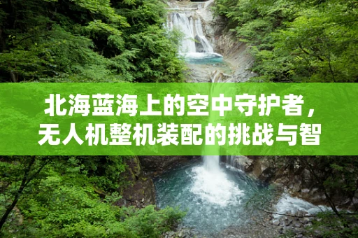 北海蓝海上的空中守护者，无人机整机装配的挑战与智慧