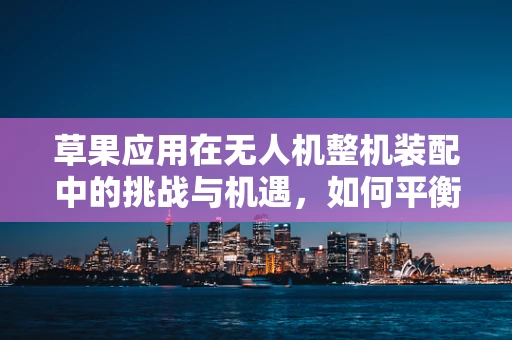 草果应用在无人机整机装配中的挑战与机遇，如何平衡自然与科技的融合？