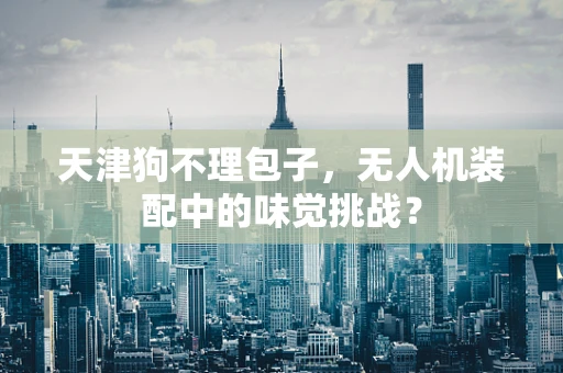 天津狗不理包子，无人机装配中的味觉挑战？