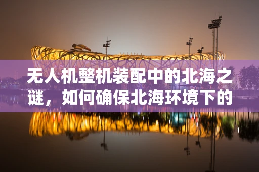 无人机整机装配中的北海之谜，如何确保北海环境下的飞行稳定性？