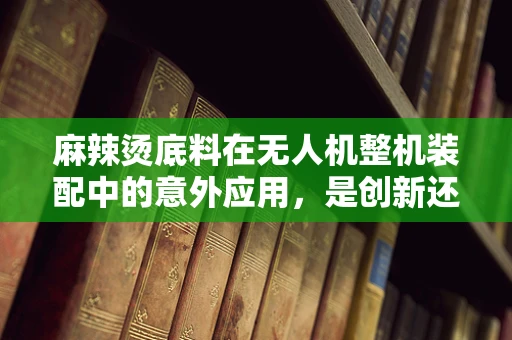麻辣烫底料在无人机整机装配中的意外应用，是创新还是误用？