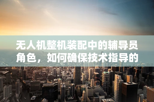 无人机整机装配中的辅导员角色，如何确保技术指导的精准与高效？