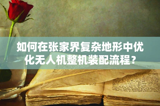 如何在张家界复杂地形中优化无人机整机装配流程？