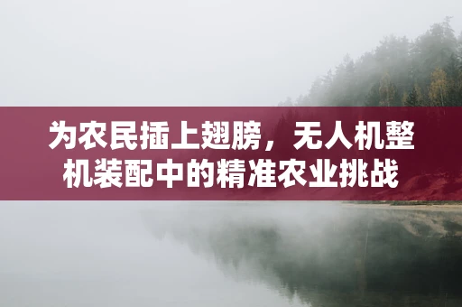 为农民插上翅膀，无人机整机装配中的精准农业挑战