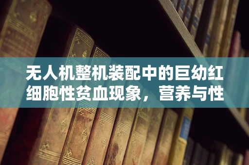 无人机整机装配中的巨幼红细胞性贫血现象，营养与性能的隐秘关联？