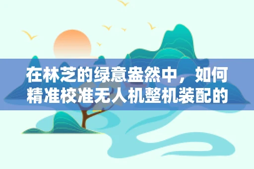 在林芝的绿意盎然中，如何精准校准无人机整机装配的飞行稳定性？