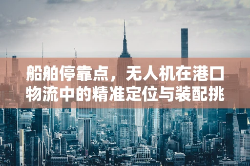 船舶停靠点，无人机在港口物流中的精准定位与装配挑战