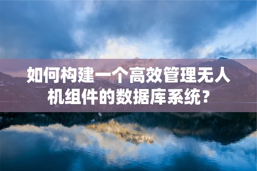如何构建一个高效管理无人机组件的数据库系统？