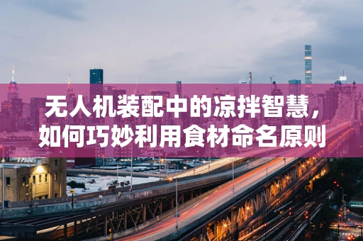 无人机装配中的凉拌智慧，如何巧妙利用食材命名原则优化部件命名？