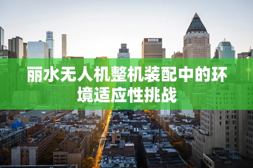 丽水无人机整机装配中的环境适应性挑战