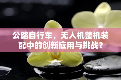 公路自行车，无人机整机装配中的创新应用与挑战？