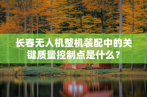 长春无人机整机装配中的关键质量控制点是什么？
