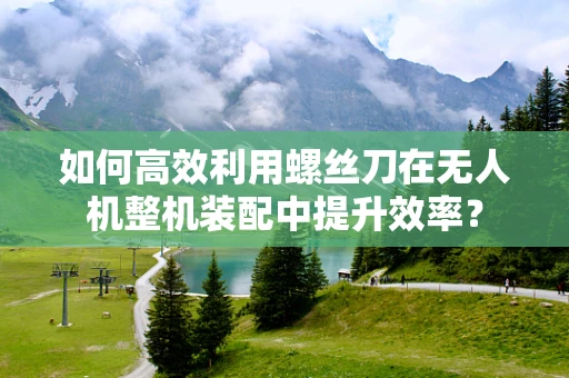 如何高效利用螺丝刀在无人机整机装配中提升效率？