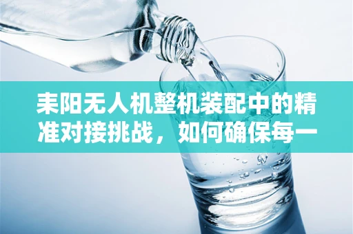 耒阳无人机整机装配中的精准对接挑战，如何确保每一环节的无缝衔接？