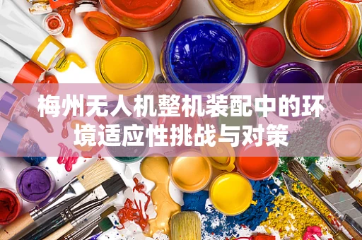 梅州无人机整机装配中的环境适应性挑战与对策