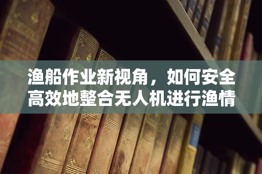 渔船作业新视角，如何安全高效地整合无人机进行渔情监测？