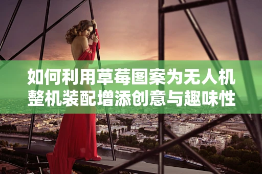 如何利用草莓图案为无人机整机装配增添创意与趣味性？