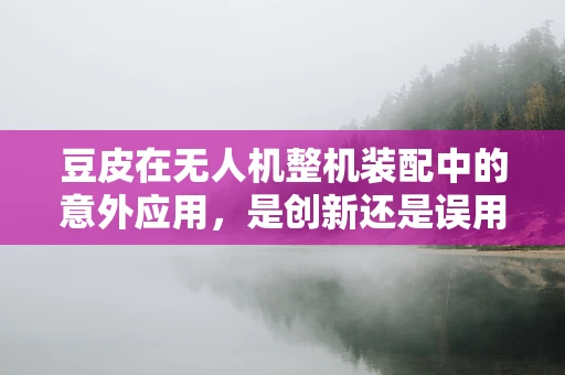 豆皮在无人机整机装配中的意外应用，是创新还是误用？