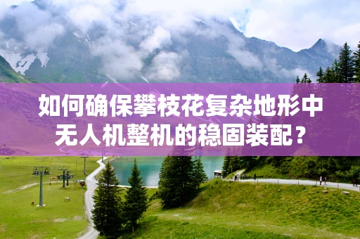 如何确保攀枝花复杂地形中无人机整机的稳固装配？