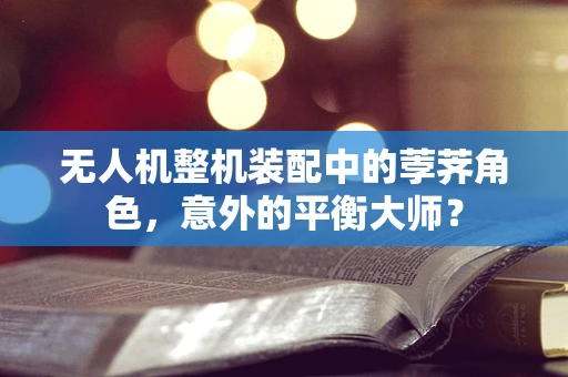 无人机整机装配中的荸荠角色，意外的平衡大师？