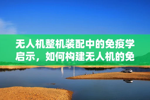 无人机整机装配中的免疫学启示，如何构建无人机的免疫系统以抵御环境干扰？