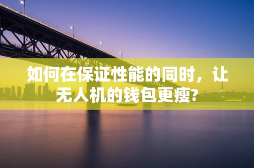 如何在保证性能的同时，让无人机的钱包更瘦?