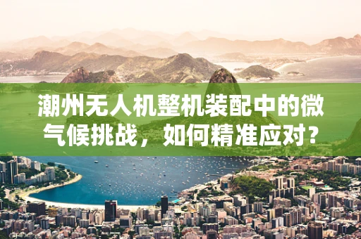 潮州无人机整机装配中的微气候挑战，如何精准应对？