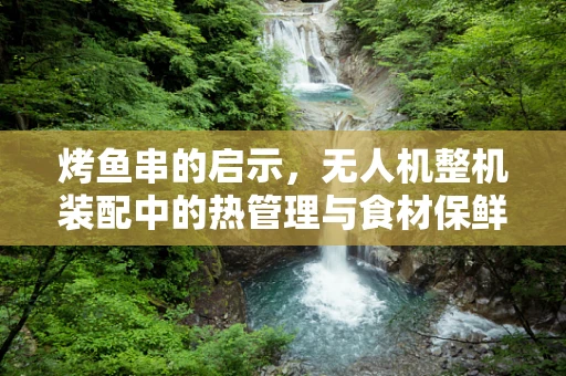 烤鱼串的启示，无人机整机装配中的热管理与食材保鲜技术融合