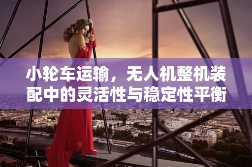 小轮车运输，无人机整机装配中的灵活性与稳定性平衡挑战