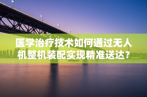 医学治疗技术如何通过无人机整机装配实现精准送达？