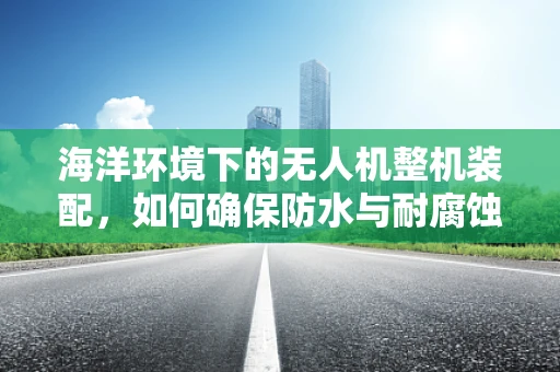 海洋环境下的无人机整机装配，如何确保防水与耐腐蚀性能？