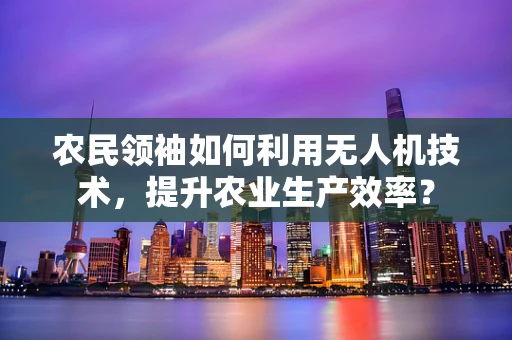 农民领袖如何利用无人机技术，提升农业生产效率？