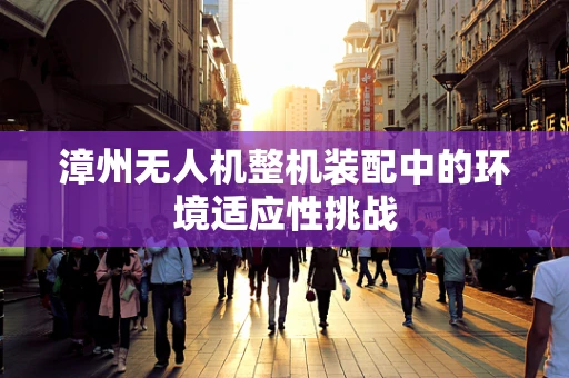 漳州无人机整机装配中的环境适应性挑战