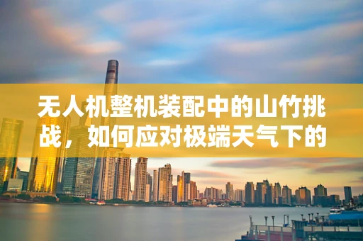 无人机整机装配中的山竹挑战，如何应对极端天气下的飞行安全？