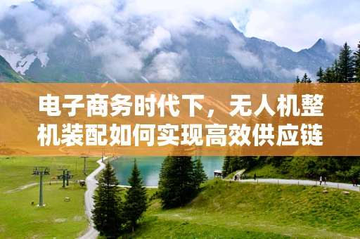 电子商务时代下，无人机整机装配如何实现高效供应链管理？