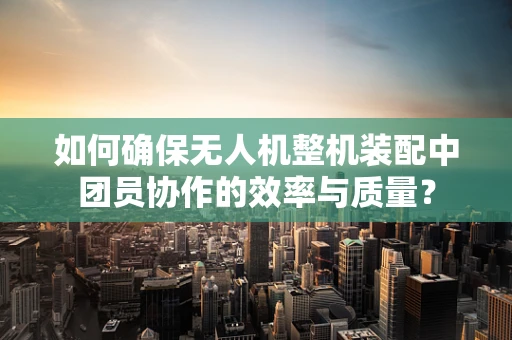 如何确保无人机整机装配中团员协作的效率与质量？