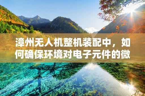 漳州无人机整机装配中，如何确保环境对电子元件的微尘污染控制？