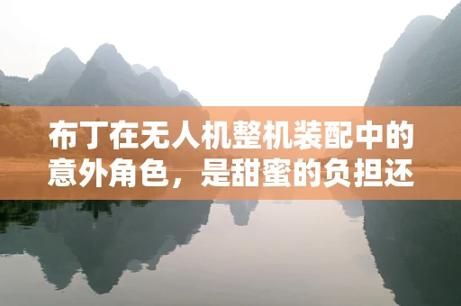 布丁在无人机整机装配中的意外角色，是甜蜜的负担还是技术革新？