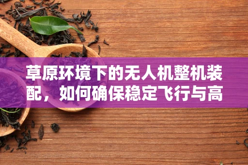 草原环境下的无人机整机装配，如何确保稳定飞行与高效作业？
