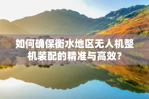 如何确保衡水地区无人机整机装配的精准与高效？