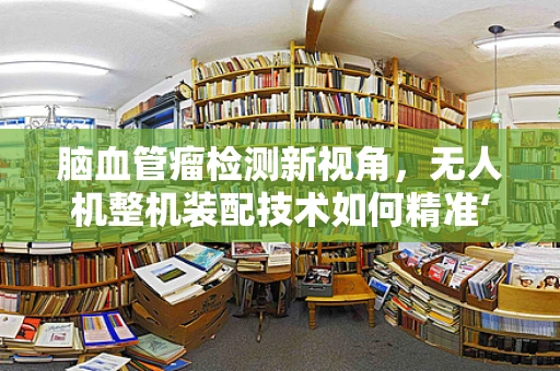脑血管瘤检测新视角，无人机整机装配技术如何精准‘飞’入医疗领域？