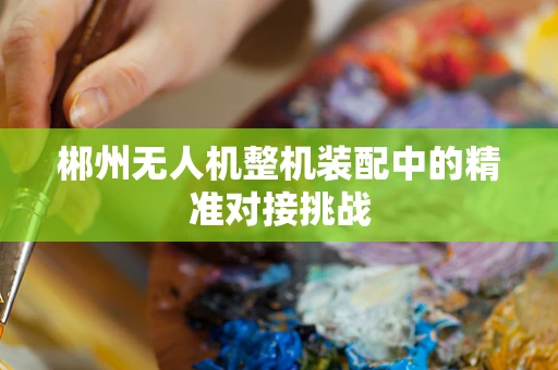 郴州无人机整机装配中的精准对接挑战