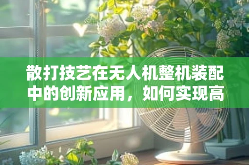 散打技艺在无人机整机装配中的创新应用，如何实现高效与精准的平衡？