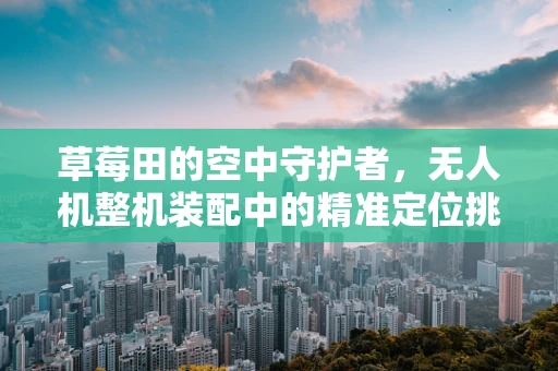 草莓田的空中守护者，无人机整机装配中的精准定位挑战