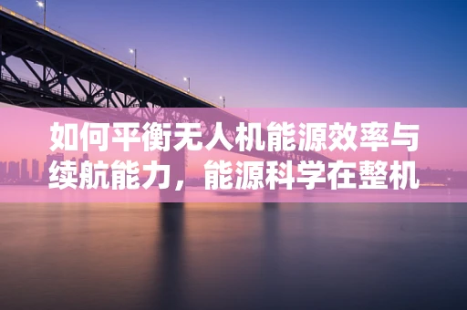 如何平衡无人机能源效率与续航能力，能源科学在整机装配中的挑战？