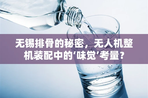 无锡排骨的秘密，无人机整机装配中的‘味觉’考量？