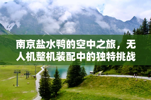 南京盐水鸭的空中之旅，无人机整机装配中的独特挑战