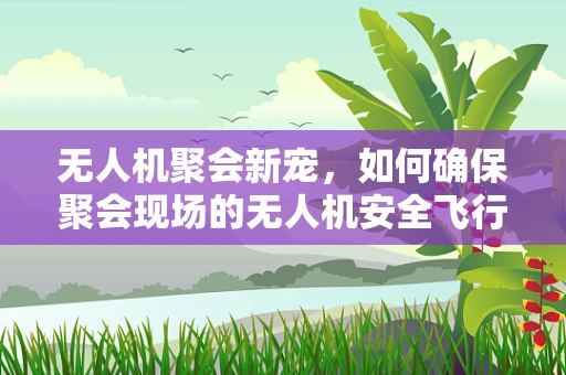 无人机聚会新宠，如何确保聚会现场的无人机安全飞行？
