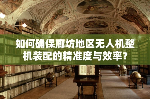 如何确保廊坊地区无人机整机装配的精准度与效率？